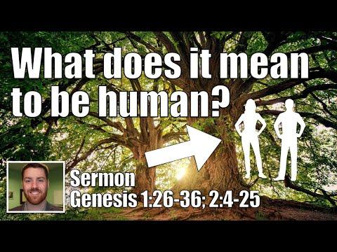 What does it mean to be human? | Genesis 1:26-36; 2:4-25 (The Genesis of God's People Sermon Series)