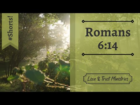 Living Under Amazing Grace! | Romans 6:14 | August 19th | Rise and Shine Shorts