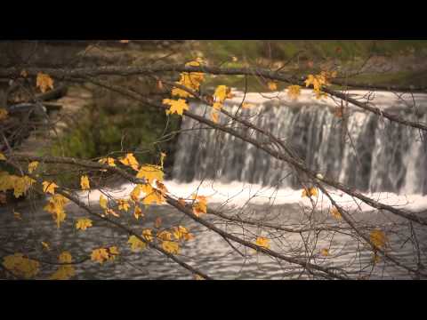 FLBC Daily Devotion Isaiah 28:26