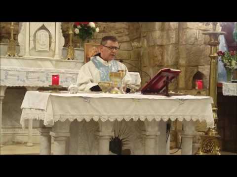 John 14: 27-31 الأسبوع الأول من زمن العنصرة