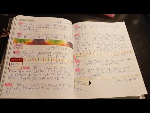 July 11, 2020 // Strength For The Soul // Psalm 4:7-8