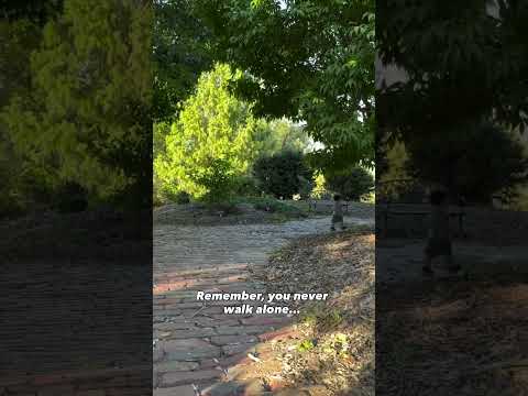 You Never Walk Alone...