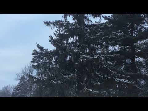 Scripture Verse By Verse  (2022) Second Kings 21:10-22:7