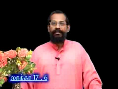 The righteous cannot be uprooted--Proverbs 12:3--Pastor Sadhu David Sundaramony