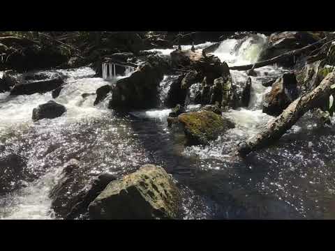 I Am... John 8:49-59