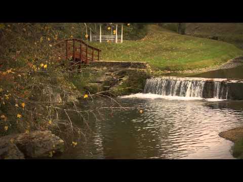 FLBC Daily Devotion Romans 8:13