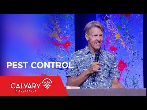 Pest Control - Philippians 1:15-18 - Skip Heitzig