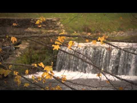 FLBC Daily Devotion Jeremiah 2:35