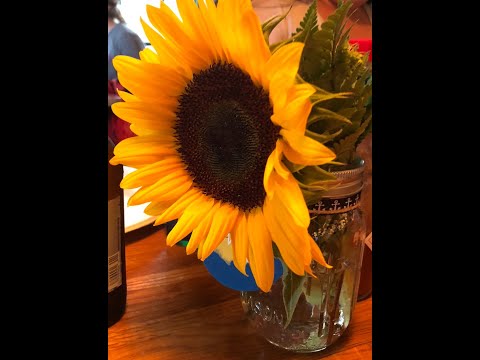 A NEW DAY-Jer 29:11, Is 40:31, Ps 73:26, Rom 8:28, Eph 3:20-21.. Remember Today’s a New Day!