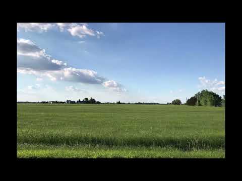 Coffee Break (5 Minutes with God) Psalm 73:11-16