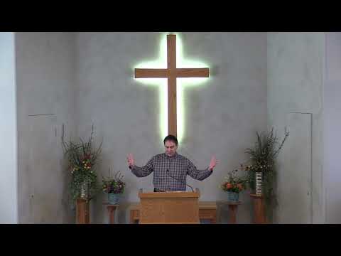 Deuteronomy 19:14-21  Nov. 11, 2021