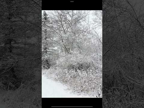 428.  Coffee Break (express) Compassion.