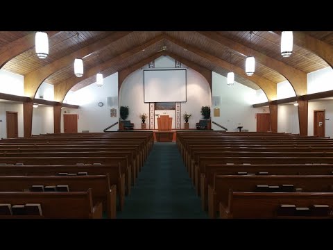 "Just One Book"  I Peter 1:23-25 03/29/20 AM Steve Smithbauer