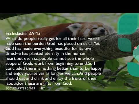 I Lift My Hands To You In Prayer Psalm 143:6.