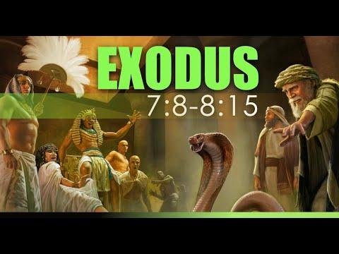 Exodus 7:8-8:15   10.01.2022