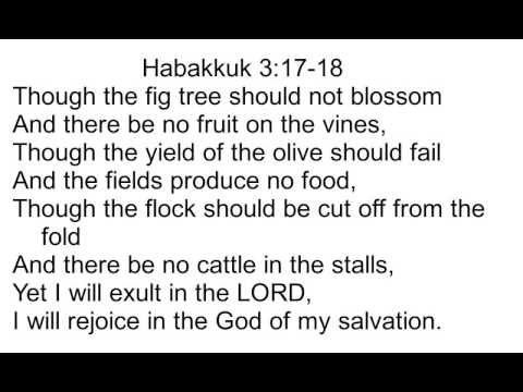 35 Habakkuk 3:17-18