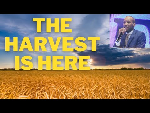 "The Harvest is Here"//Matthew 9:35-39, Luke 8:1-11// Pastor Victor Ekwere Jnr