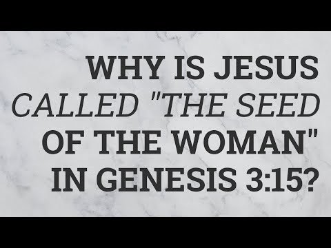 Why Is Jesus Called "The Seed of the Woman" in Genesis 3:15?