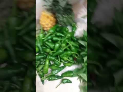 Romans 14:2 One person has faith that he may eat all things, but he who is weak eats vegetables only