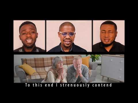 Colossians 1:29 (Struggling with Energy) Beautiful Soothing Scriptural Song