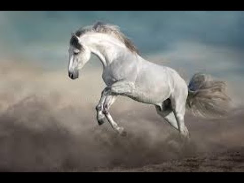 Scripture from the Lord- He's Coming to get You-Psalms 69:1-3;Psalms 68:3-5