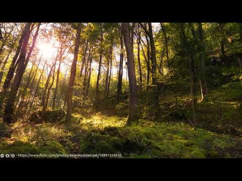 Daily KJV Bible Reading - Luke 3:36 - 5:39