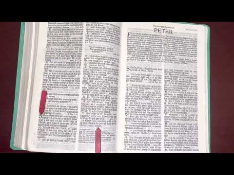 11/25/22, Psalm 121, Proverbs 25, 1Peter5:1-14, Hosea 3:1-4:19 Old & New Testament Readings