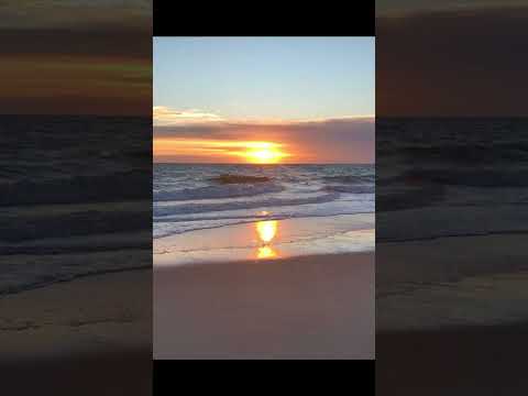 451.  Coffee Break (express) Playing by a clear river.