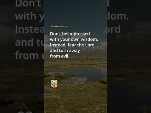 Bible Verses - Proverbs 3:5-10 (new living translation) #biblevision #bible