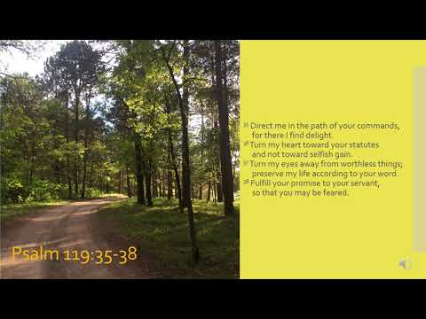 Psalm 119:35-38 - Help Me Follow You, God (Scripture song)