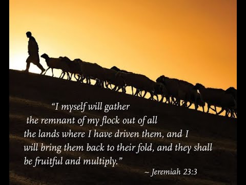 Reflections on Jeremiah 23:1-6