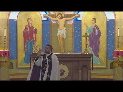 Sunday Homily By Fr. Sameem Balius (John 20:19-21) 7-3-2022