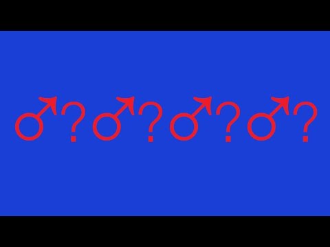 Revitalizing Masculinity - Matthew 19:4-6