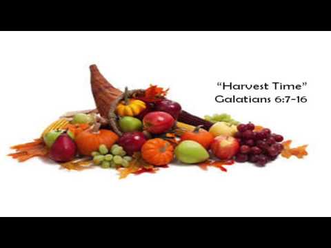 "Harvest Time" ~ Galatians 6:7-16 ~ July 3, 2016 ~ St. Peter's United Church of Christ
