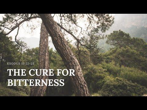 The Cure For Bitterness: Exodus 15:22-25