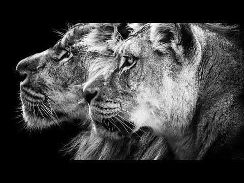 Proverbs 27:5 Open rebuke is better than secret love.