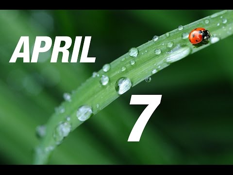 Deuteronomy 32:1-4 (NLT) Bible Song (Lyric Video) | His Deeds are Perfect