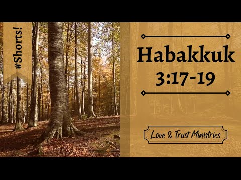Rejoice in the Lord No Matter What Comes! | Habakkuk 3:17-19 | October 28th | Rise and Shine Shorts