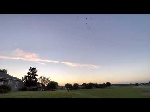 Day 219~ August 7~ Ezra 4:24-6:22, 1 Corinthians 3:5-23, Psalm 29:1-11, Proverbs 20:26-27