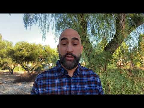 What Is That To You? John 21:21-22