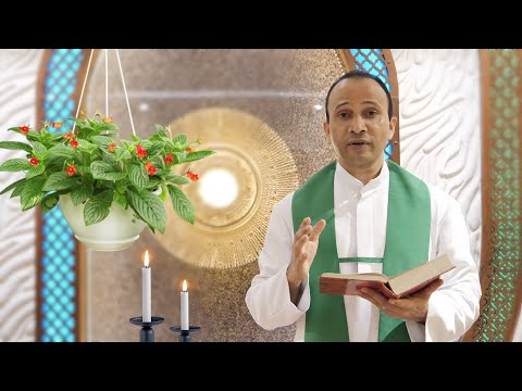 A short reflection on the Gospel of Matthew 10:37-42 (13th Sunday in Ordinary Time, 28th June 2020)