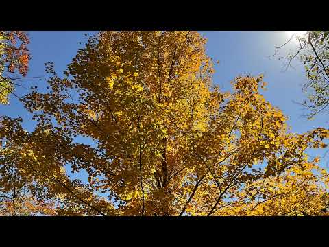 Scripture Verse By Verse  (2022) Second Kings 23:21-24:2