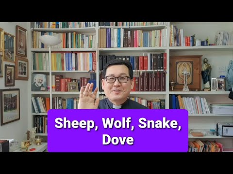 Today's Holy Gospel: homily and reflection: Matthew 10:16-23 (10/07/2020) Fr Andrew Lee