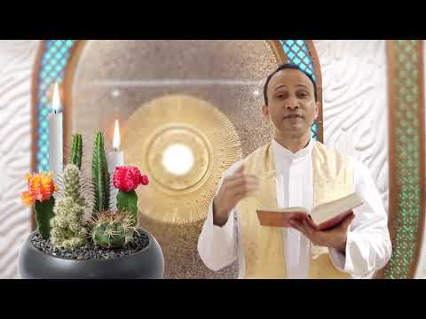 A short reflection on the Gospel of John 16:20-23 (Friday 6th Week of Easter 22nd May 2020)