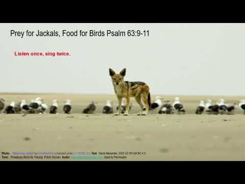 Psalm 63:9-11 Prey for Jackals, Food for Birds