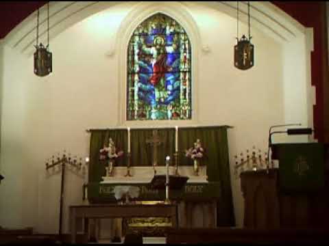 "The kingdom of God is like a mustard seed"-Mark 4:30-31. The 4th Sunday after Pentecost - 6/17/2018