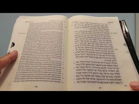 Daily Bible Reading - Leviticus 25:29 - 27:1