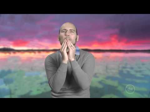 8/13/16 | Children (3) Bible Reading: Matthew 19:13-15