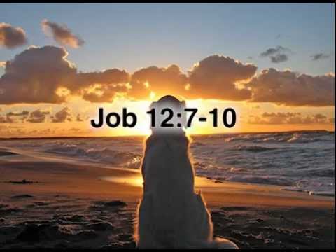 Job 12:7-10