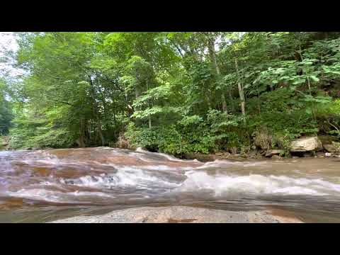 Day 187~ July 6~ 1 Chronicles 2:18-4:4, Acts 24:1-27, Psalm 4:1-8, Proverbs 18:16-18